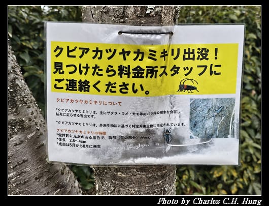石舞台_064.jpg 石舞台_064.jpg