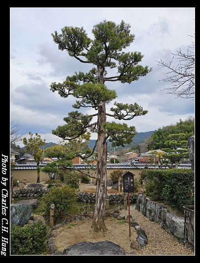 飛鳥寺_047.jpg