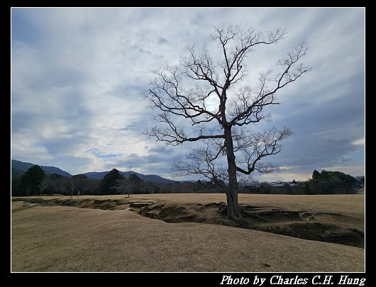 飛火野_028.jpg 飛火野_028.jpg