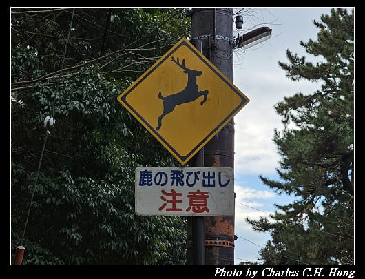 飛火野_014.jpg 飛火野_014.jpg