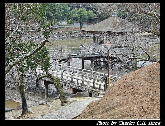 飛火野_035.jpg 飛火野_035.jpg