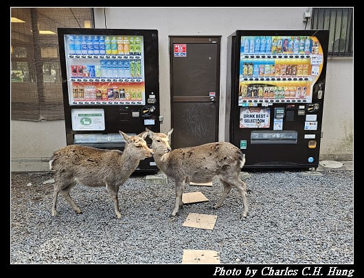 飛火野_055.jpg 飛火野_055.jpg