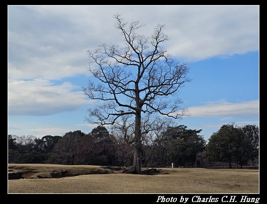 飛火野_021.jpg 飛火野_021.jpg