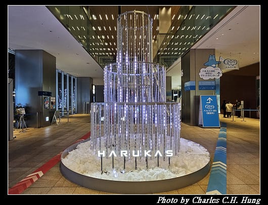 奈良飛鳥–Day 5–阿倍野展望台 Harukas300