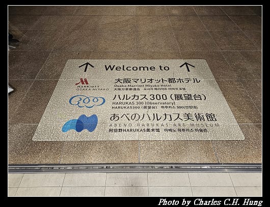 奈良飛鳥–Day 5–阿倍野展望台 Harukas300