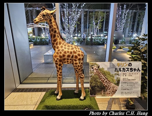 奈良飛鳥–Day 5–阿倍野展望台 Harukas300