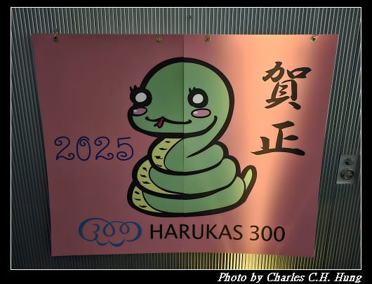 奈良飛鳥–Day 5–阿倍野展望台 Harukas300