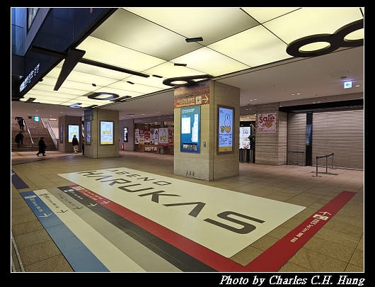 奈良飛鳥–Day 6–關空特快列車「HARUKA」（天王寺 to 關西空港）