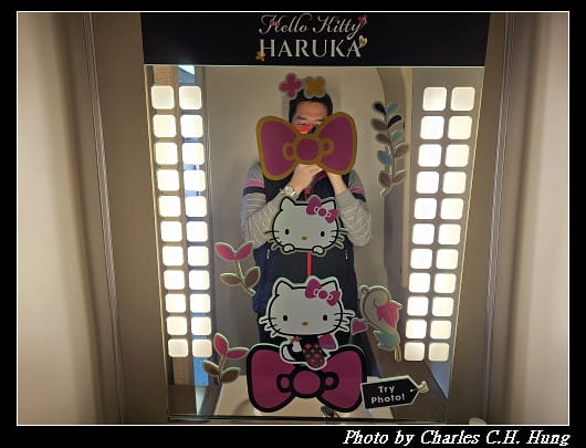 奈良飛鳥–Day 6–關空特快列車「HARUKA」（天王寺 to 關西空港）
