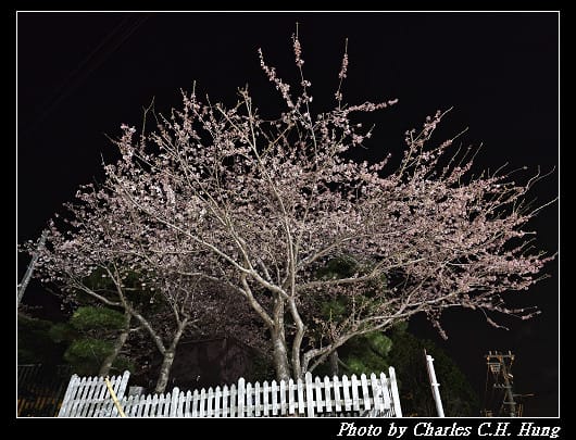 北海道賞櫻–Day 1–函館山山頂展望台 世界三大夜景！函館百萬夜景