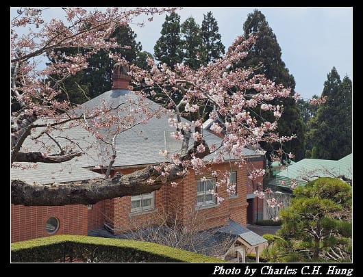 北海道賞櫻–Day 2–特拉普女子修道院（トラピスチヌ修道院）