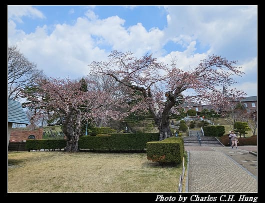 北海道賞櫻–Day 2–特拉普女子修道院（トラピスチヌ修道院）