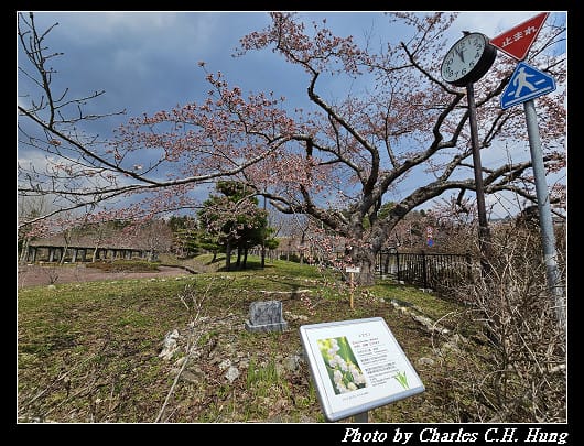 北海道賞櫻–Day 2–特拉普女子修道院（トラピスチヌ修道院）