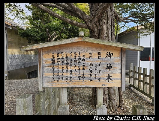 北海道賞櫻–Day 2–湯倉神社