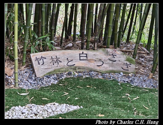 北海道賞櫻–Day 2–湯倉神社