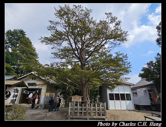北海道賞櫻–Day 2–湯倉神社