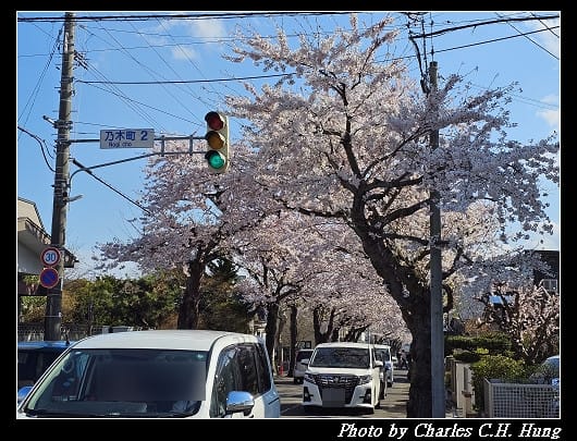 北海道賞櫻–Day 2–櫻丘通（桜が丘通り）