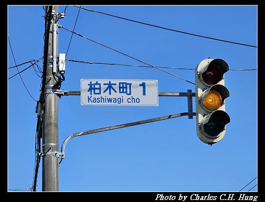 北海道賞櫻–Day 2–櫻丘通（桜が丘通り）