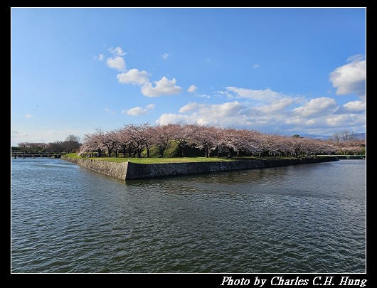 北海道賞櫻–Day 2–五稜郭塔（五稜郭タワー）、五稜郭公園