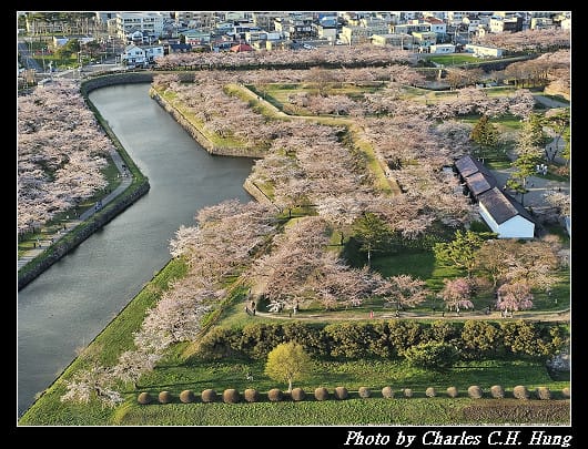 北海道賞櫻–Day 2–五稜郭塔（五稜郭タワー）、五稜郭公園