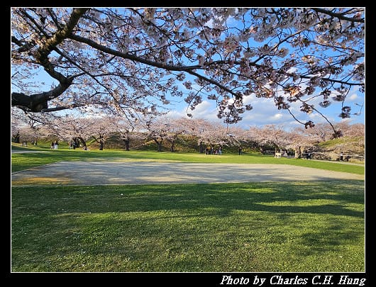 北海道賞櫻–Day 2–五稜郭塔（五稜郭タワー）、五稜郭公園
