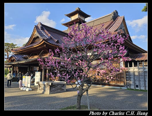 北海道賞櫻–Day 2–五稜郭塔（五稜郭タワー）、五稜郭公園