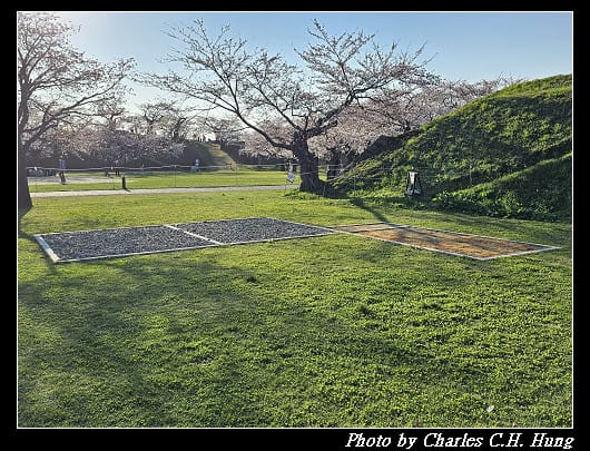 北海道賞櫻–Day 2–五稜郭塔（五稜郭タワー）、五稜郭公園