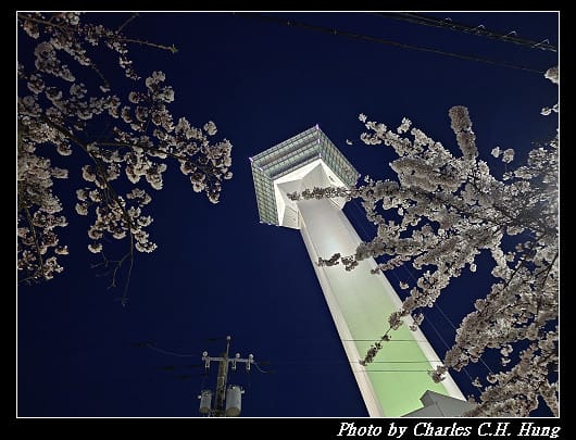北海道賞櫻–Day 2–五稜山 最上寺 夜櫻