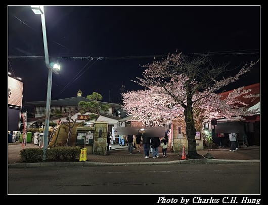 北海道賞櫻–Day 2–五稜山 最上寺 夜櫻