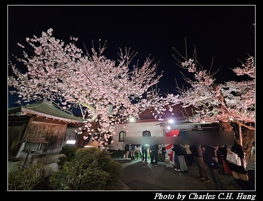 北海道賞櫻–Day 2–五稜山 最上寺 夜櫻