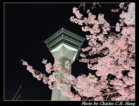 北海道賞櫻–Day 2–五稜山 最上寺 夜櫻