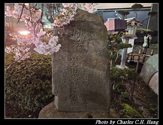 北海道賞櫻–Day 2–五稜山 最上寺 夜櫻