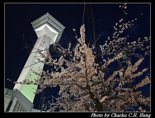 北海道賞櫻–Day 2–五稜山 最上寺 夜櫻