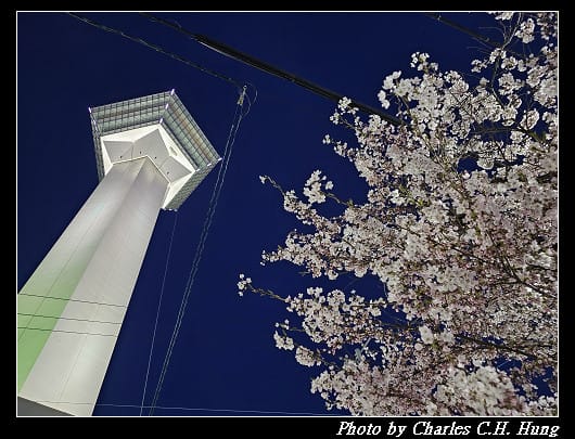 北海道賞櫻–Day 2–五稜山 最上寺 夜櫻