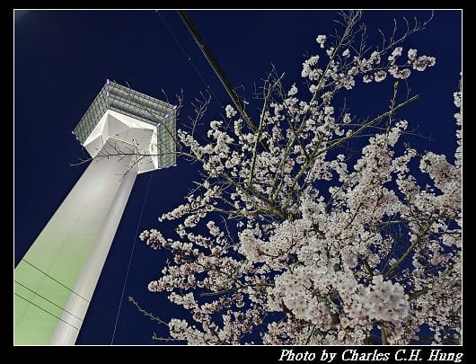 北海道賞櫻–Day 2–五稜山 最上寺 夜櫻