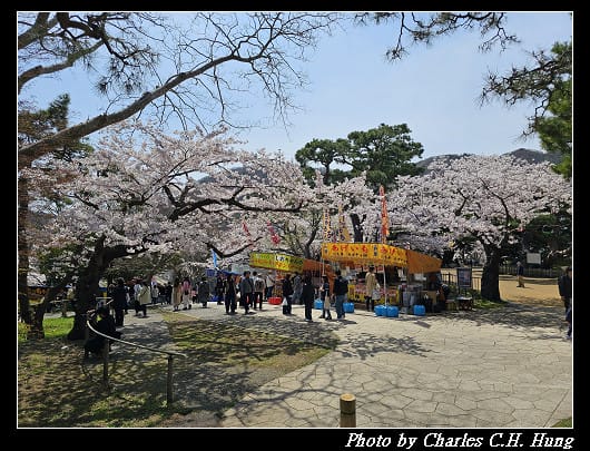北海道賞櫻–Day 3–函館公園