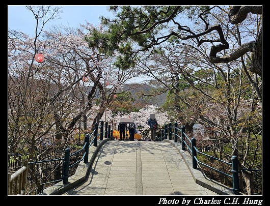 北海道賞櫻–Day 3–函館公園
