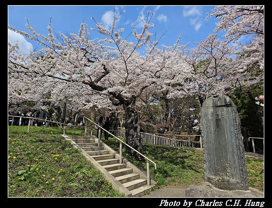北海道賞櫻–Day 3–函館公園