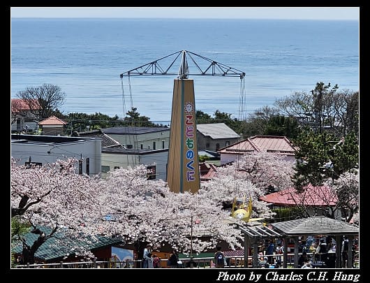 北海道賞櫻–Day 3–函館公園