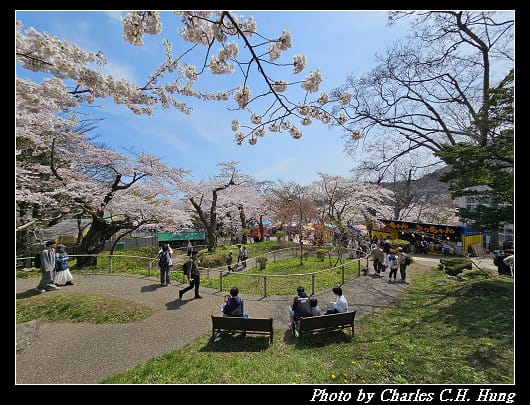 北海道賞櫻–Day 3–函館公園