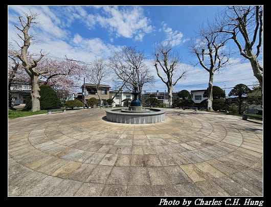 北海道賞櫻–Day 3–函館公園