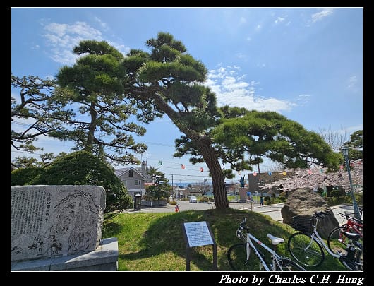 北海道賞櫻–Day 3–函館公園