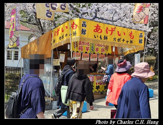 北海道賞櫻–Day 3–函館公園