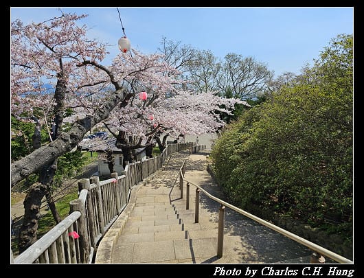 北海道賞櫻–Day 3–函館公園