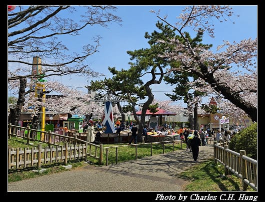 北海道賞櫻–Day 3–函館公園