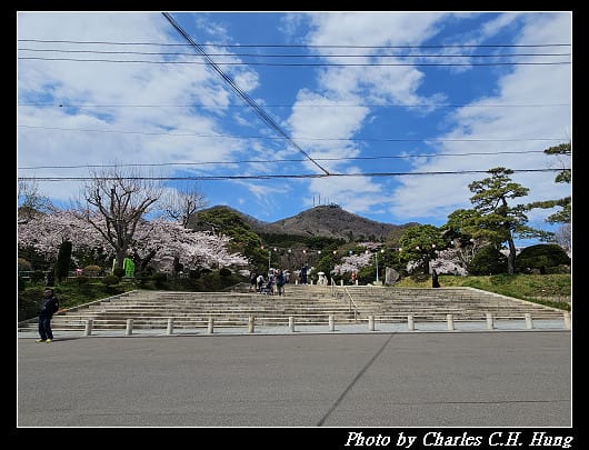北海道賞櫻–Day 3–函館公園