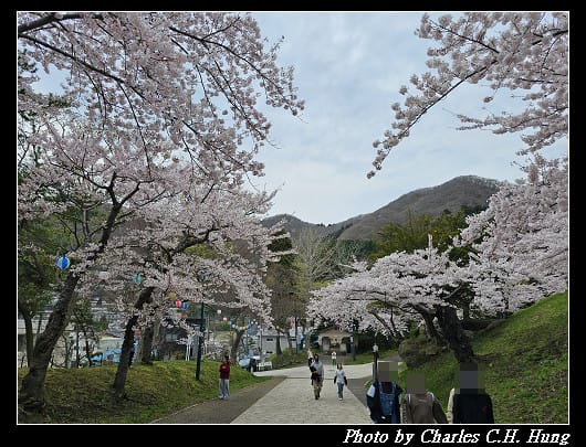 北海道賞櫻–Day 3–函館公園