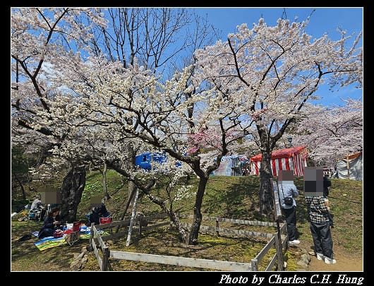 北海道賞櫻–Day 3–函館公園