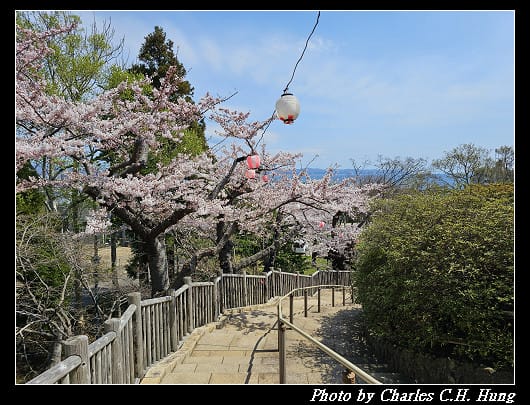 北海道賞櫻–Day 3–函館公園