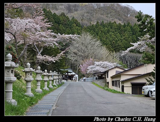 北海道賞櫻–Day 3–函館八幡宮